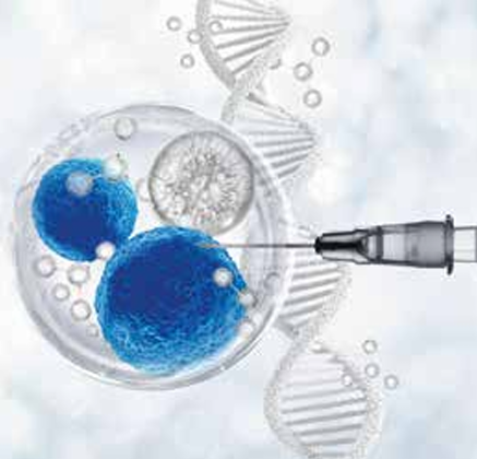 مراحل اعتماد العلاج الجيني - جزء ٢